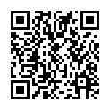 To view this 2007 Honda Odyssey Lakewood CO from D1 Auto Credit, please scan this QR code with your smartphone or tablet to view the mobile version of this page.
