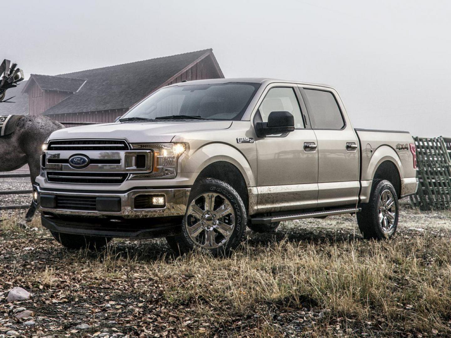 2018 Guard Metallic /Gray Ford F-150 XLT (1FTFX1E58JK) with an 5.0L V8 engine, Automatic transmission, located at 8595 Washington St., Thornton, CO, 80229, (303) 287-5511, 39.852348, -104.978447 - 2018 Ford F-150 4WD 4WD.<br><br>D1 Auto NEVER charges dealer fees! All cars have clean titles and have been inspected for mechanical issues. We have financing for everyone. Good credit, bad credit, first time buyers.<br>Clean CARFAX.<br>Please call Lakewood Location 303-274-7692 or Thornton 303-287- - Photo#0